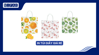 In Túi Giấy Số Lượng Lớn: 4 Lưu Ý Vàng Để Tối Ưu Chi Phí